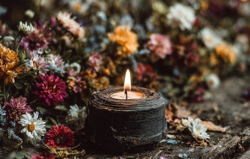 cremation services Indian Rocks Beach, FL