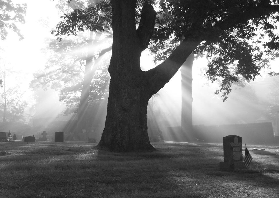 Peaceful Largo Cemetery Scene with Sunlight Rays