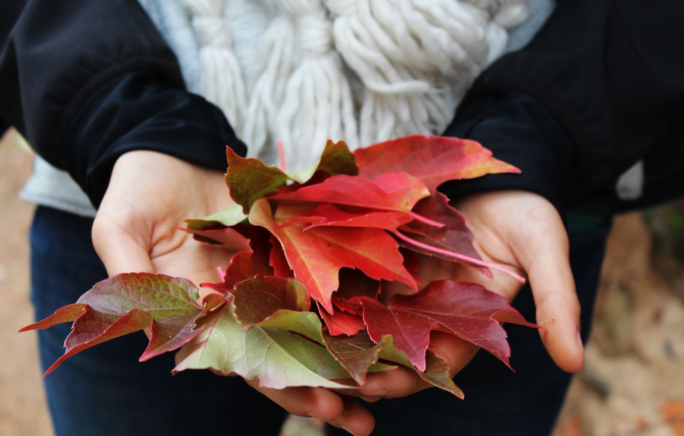 Indian Rocks Beach FL Autumn Cremation Tribute