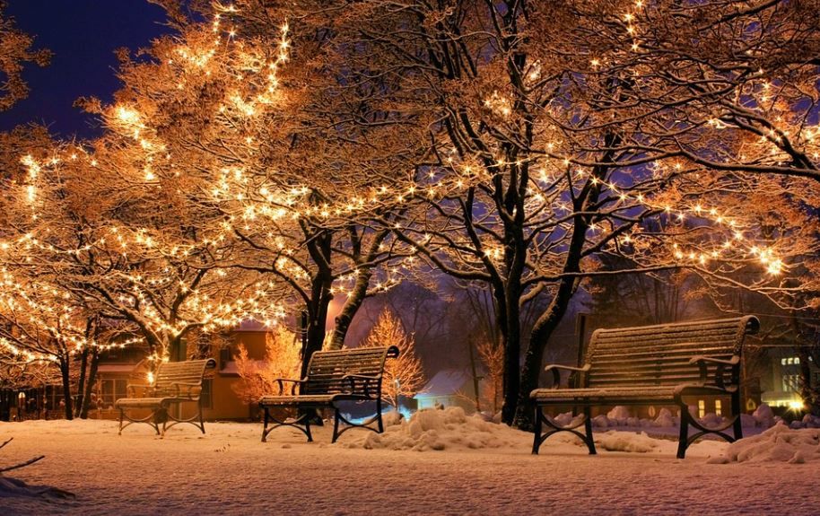 Clearwater FL Park Winter Lights Evening Serenity