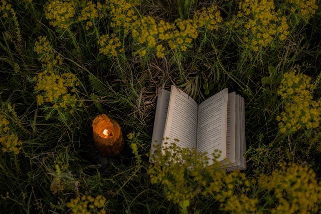 Open book and lit candle resting in grassy field cremation services Clearwater, FL