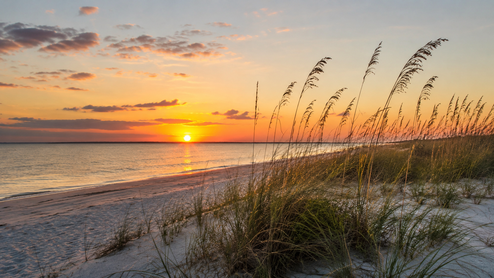 Beach shoreline with sea oats at sunset for cremation services in Largo, FL