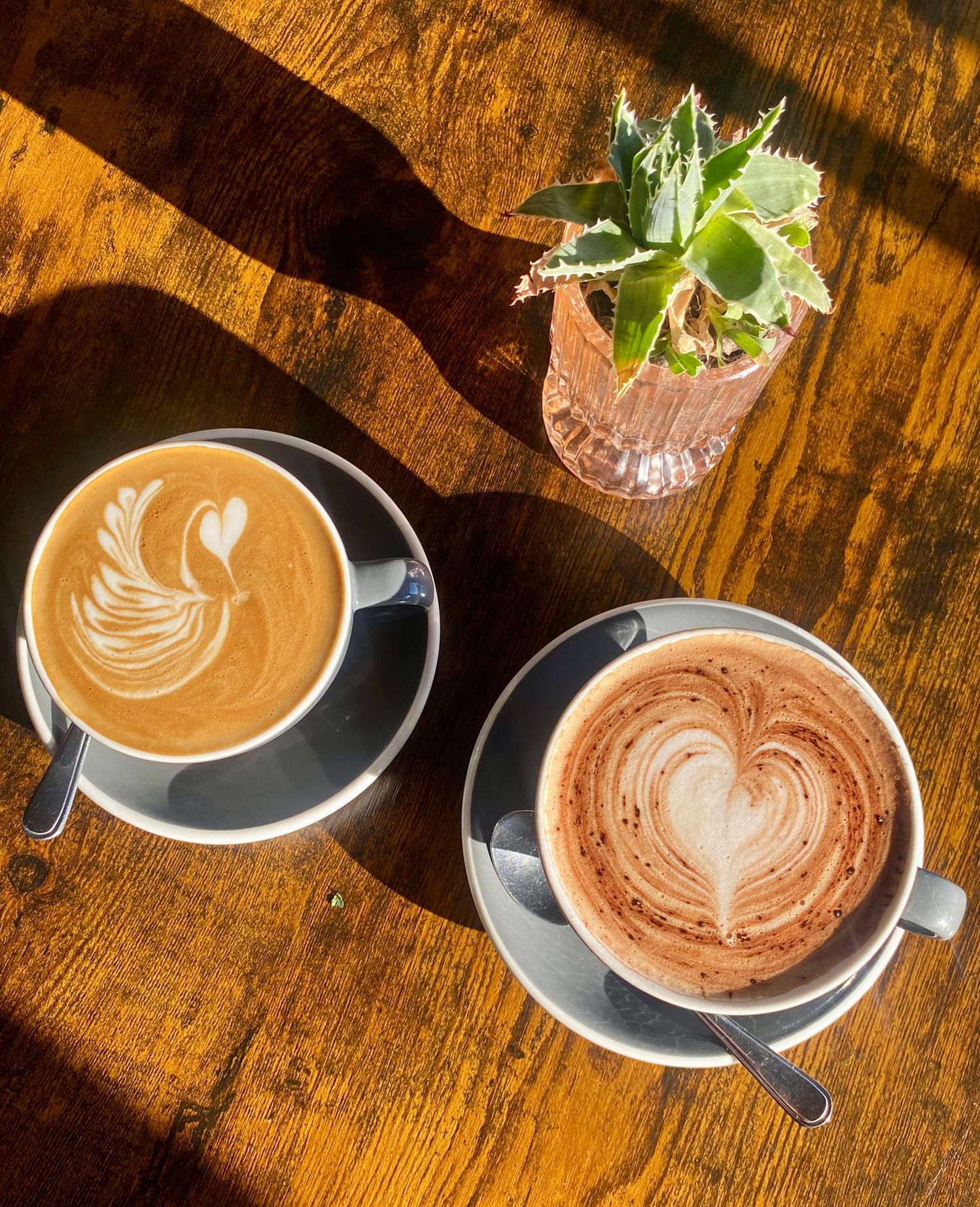 Two cups of coffee with swan and heart latte art, and a small potted plant on a wooden table in sunlight.