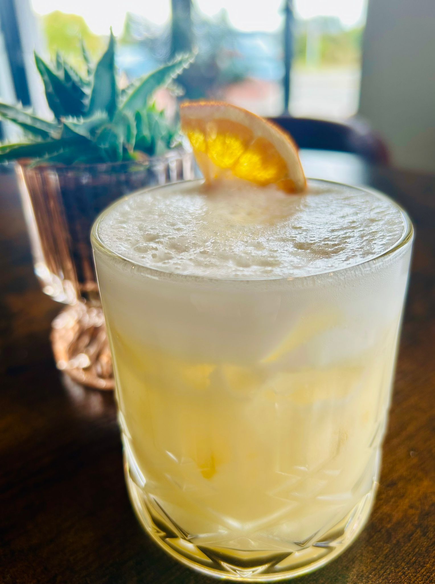 A pale yellow cocktail in a textured glass topped with foam and an orange slice, with a small succulent in the background.