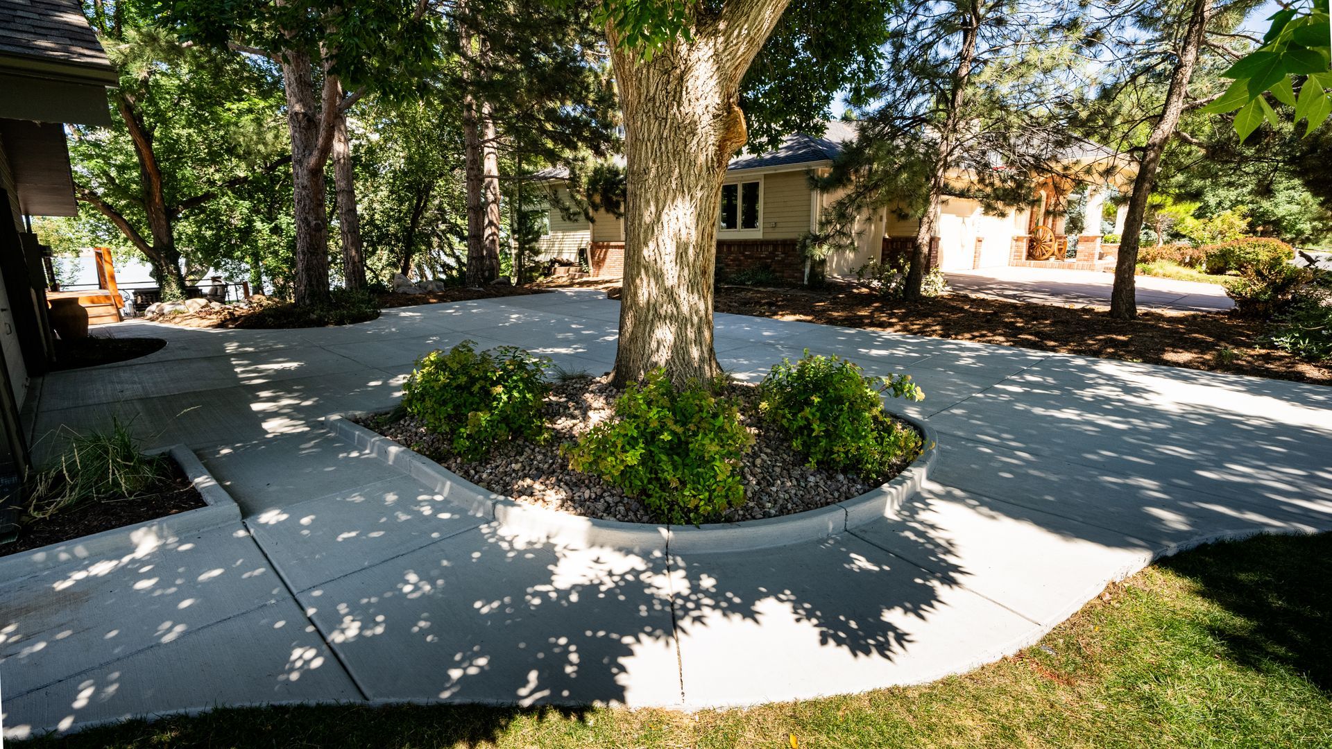Curved concrete walkway around a landscaped tree bed in a shaded park or courtyard