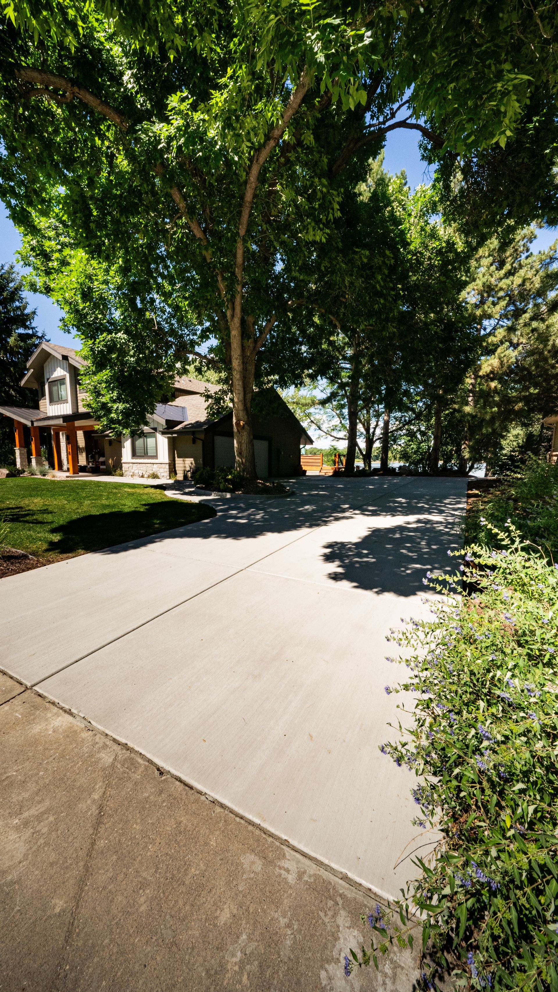 Tree-lined residential street with houses, sunlit pavement, and a clear blue sky