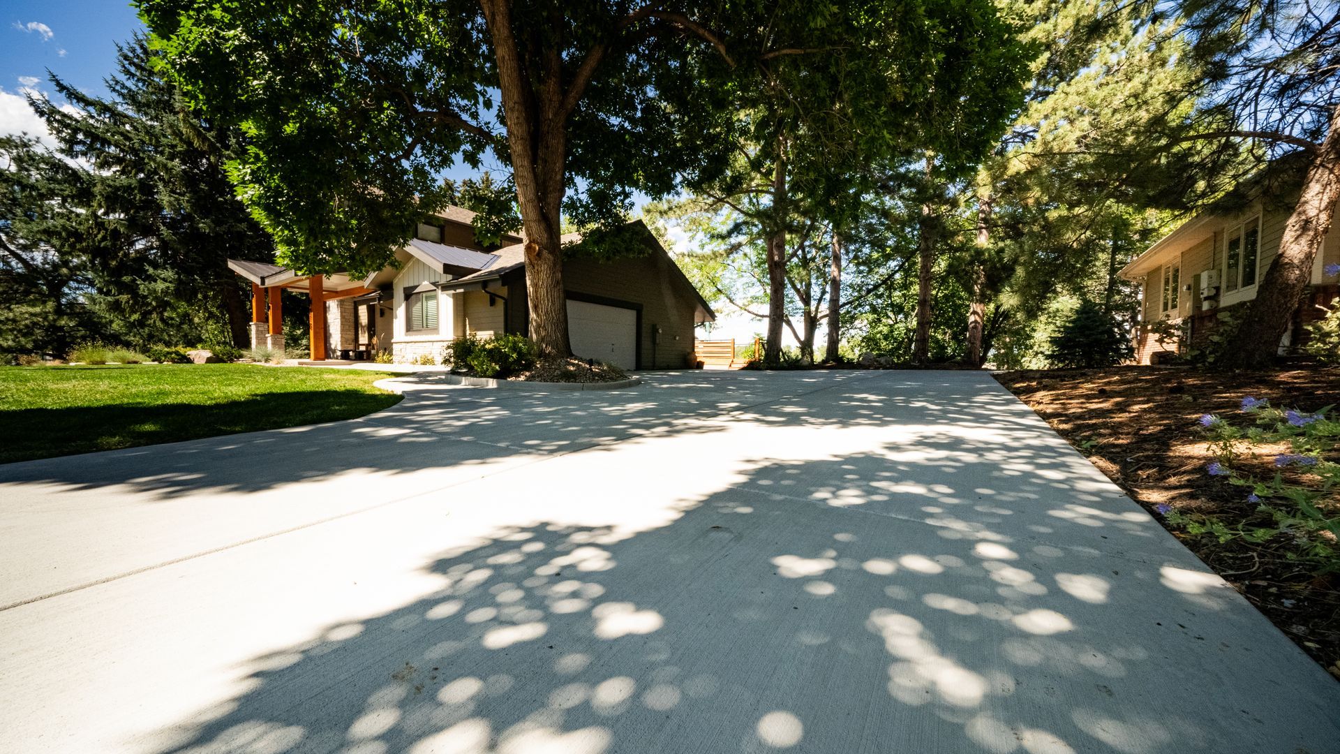 Sunny suburban driveway with trees, houses, and dappled shadows on the pavement