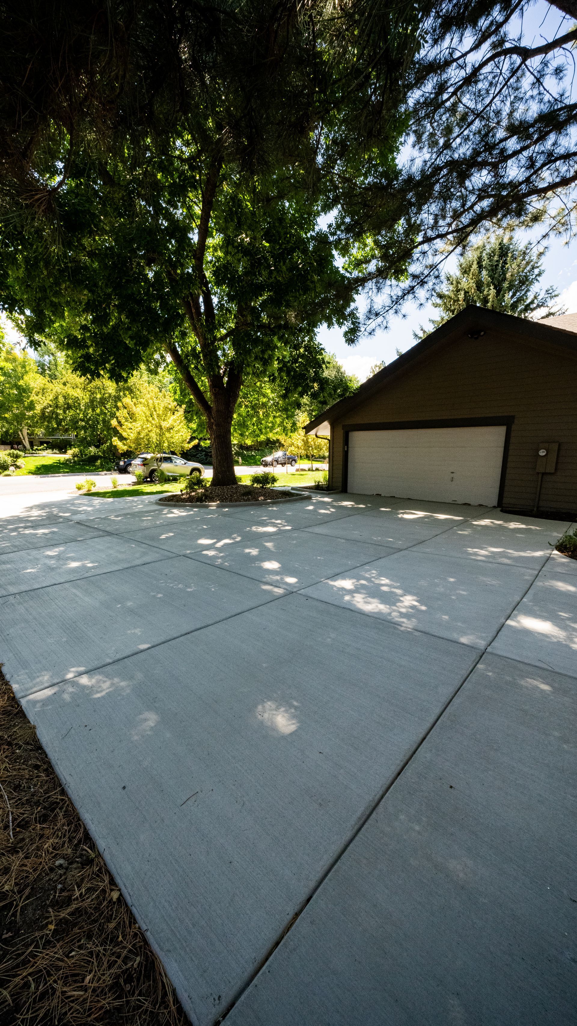 Sunlit driveway beside a garage, shaded by a large tree with bright green foliage.