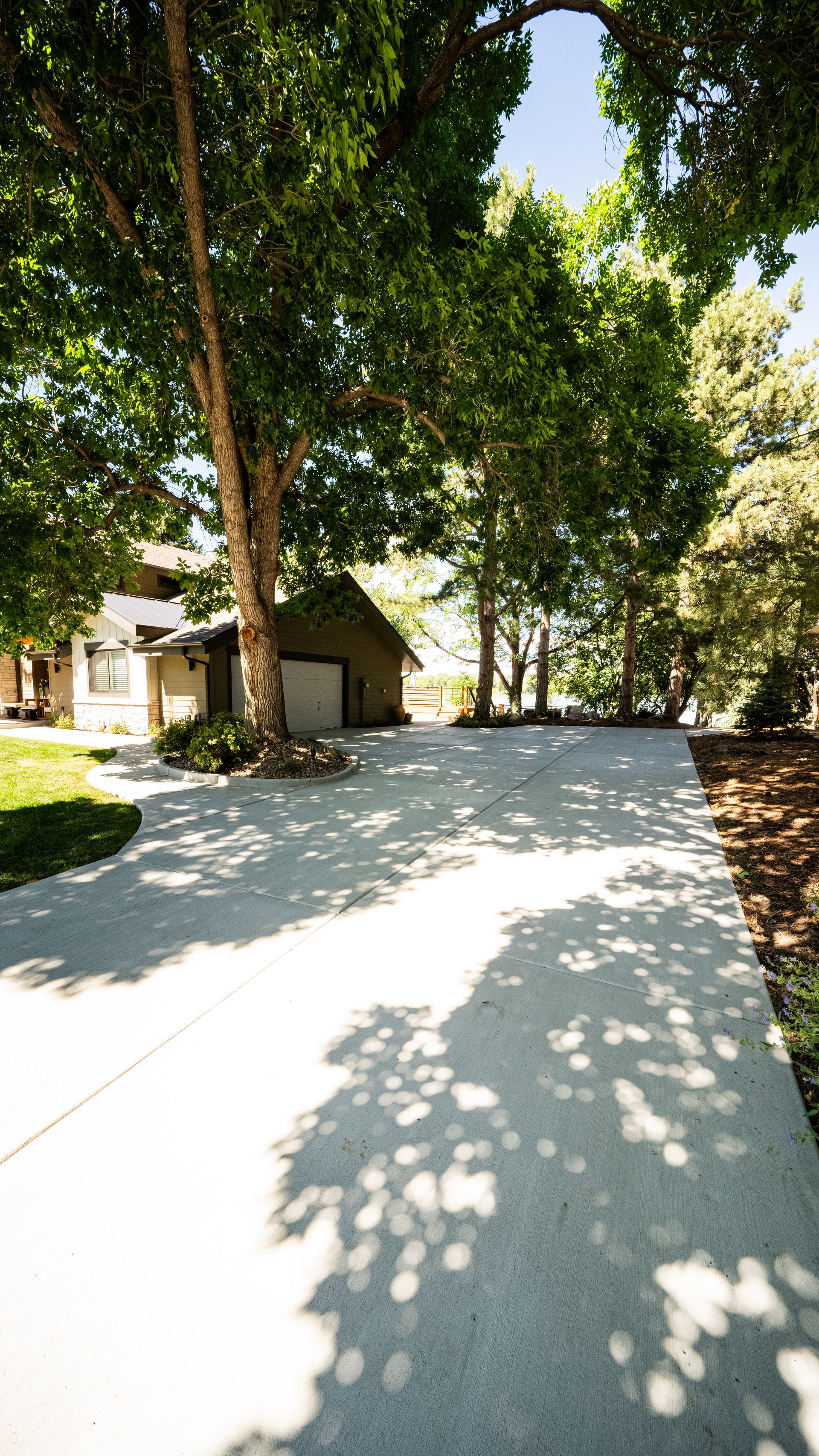 Tree-lined driveway beside a small building in bright sunlight, with dappled shadows on the pavement