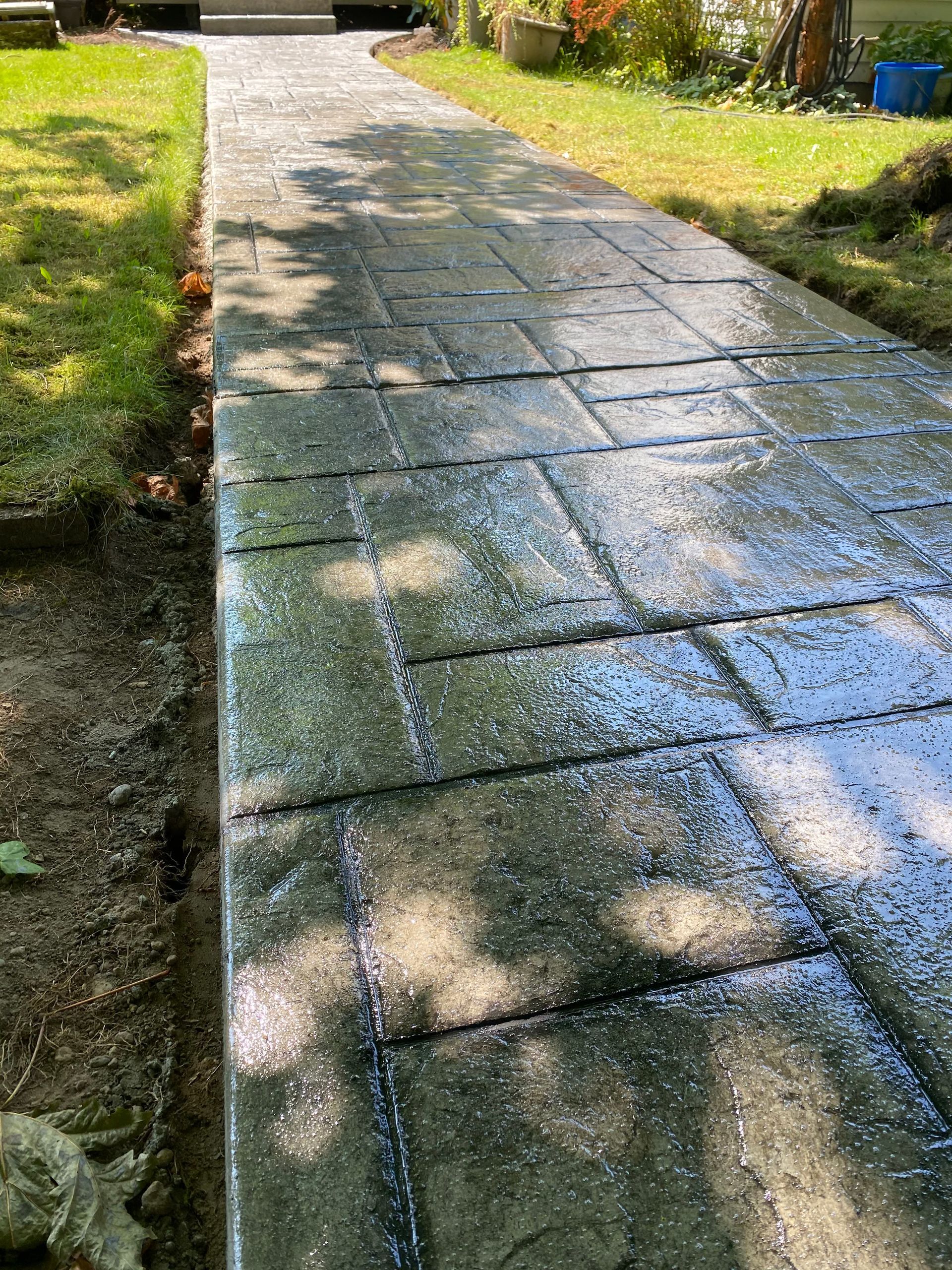 Stone walkway with sunlight and shadows, bordered by grass and garden plants.