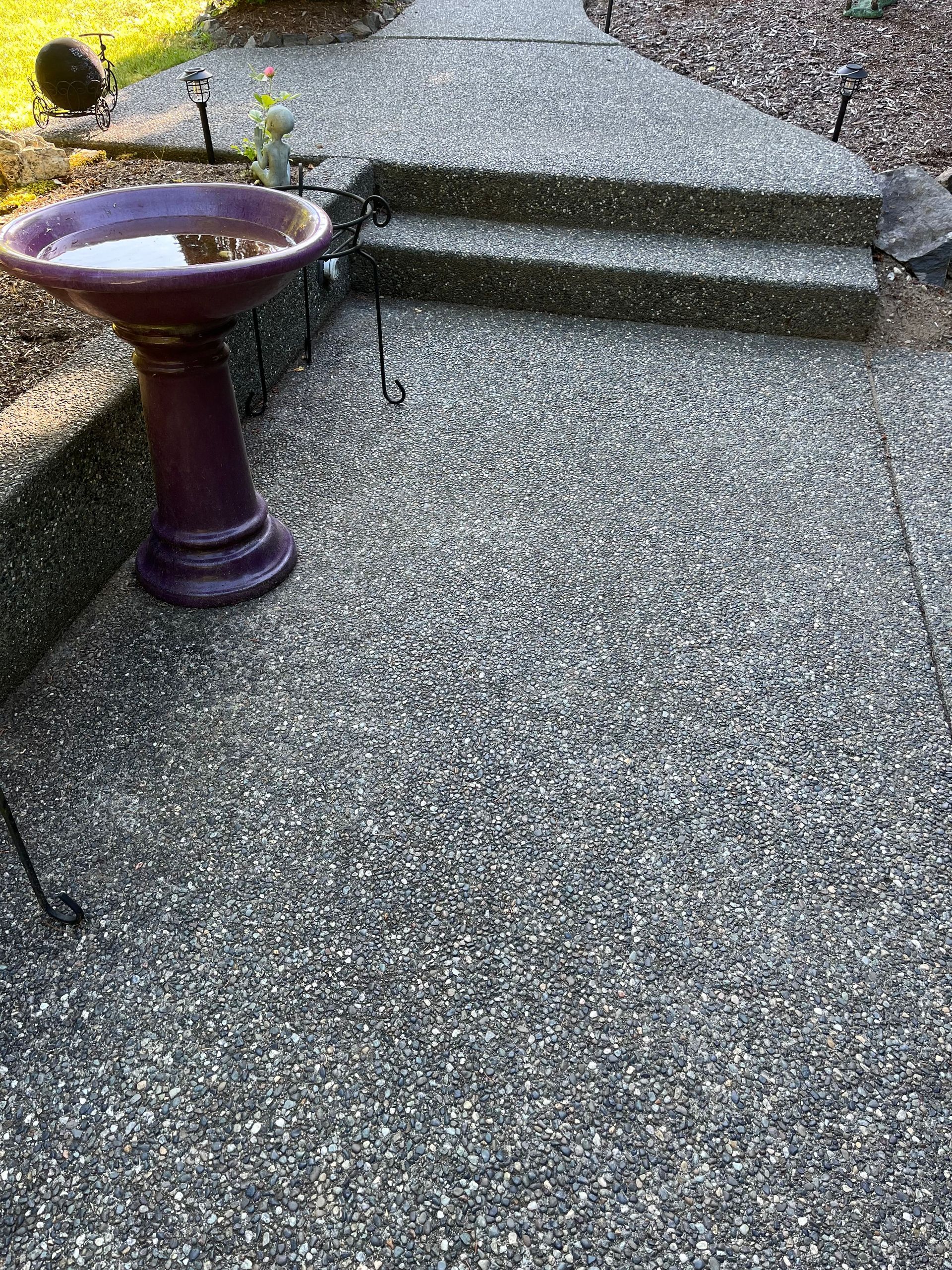 Gravel path leading to stone steps beside a purple birdbath in a garden