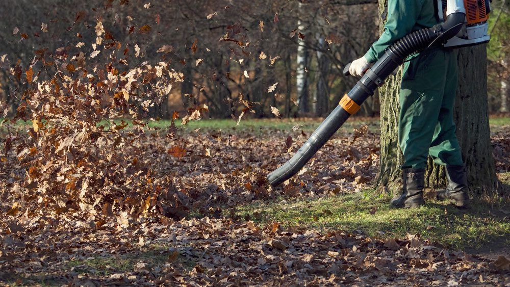 Ground Up Lawn Management crew blowing leaves during seasonal property cleanup