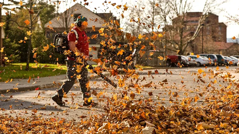 Cleaning up a Commercial property in fall in Solon