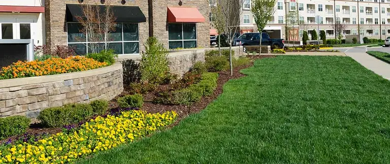 Commercial landscapes