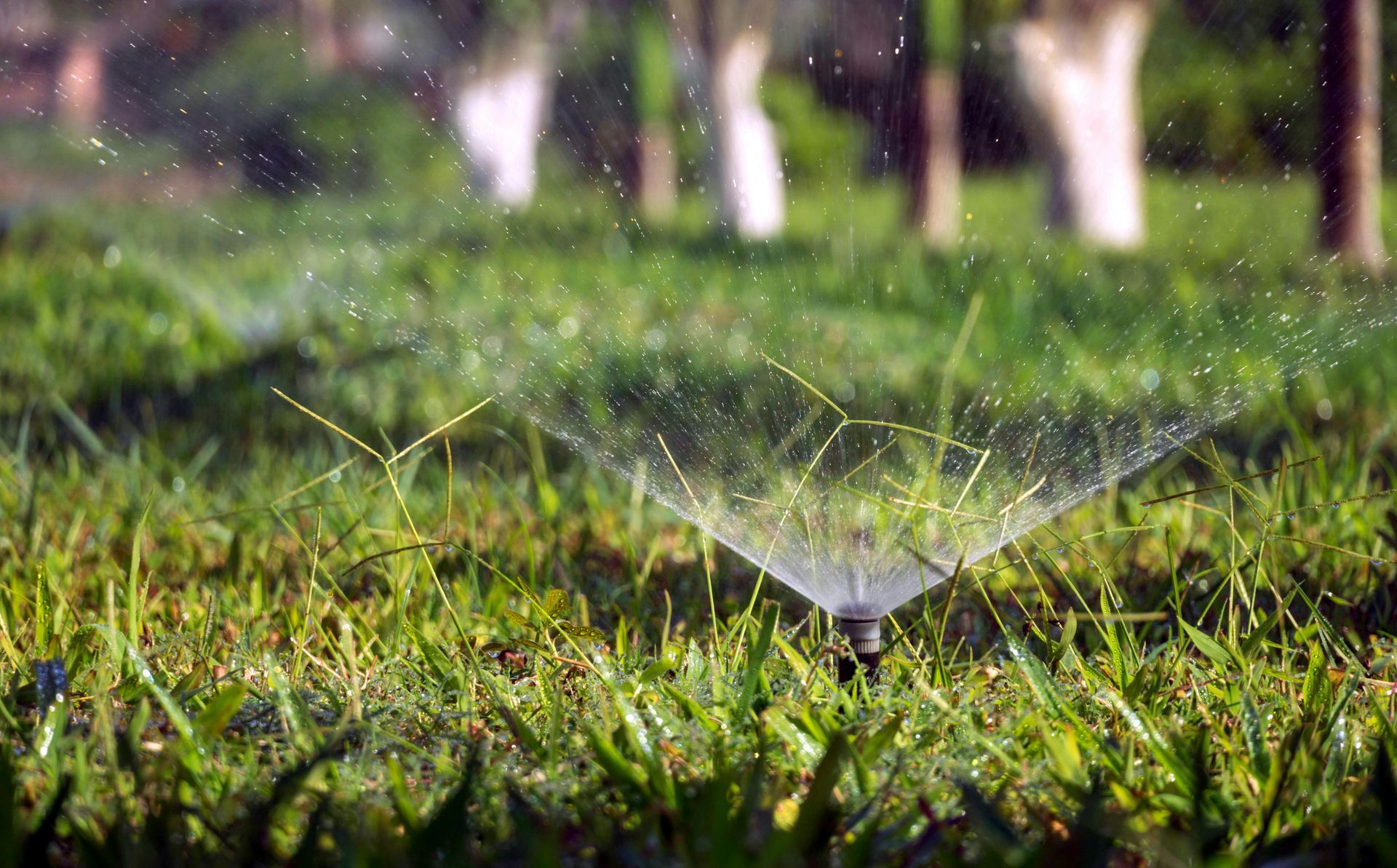 irrigation installation services