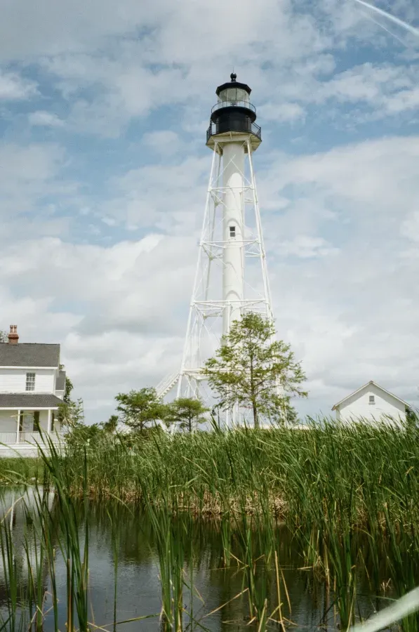 Cape San Blas lighthouse next to a pond with tall green reeds. Light blue sky with white clouds.