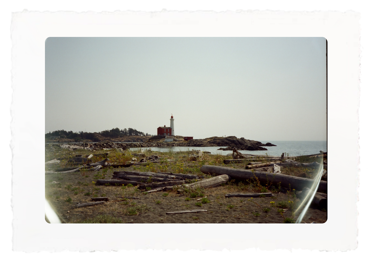 Rocky shoreline with driftwood and a red lighthouse under a pale sky