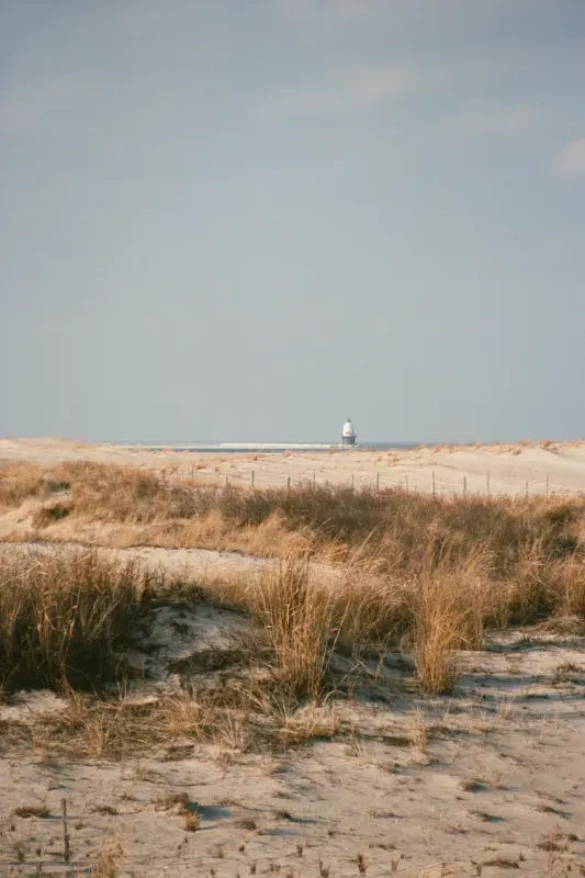 Harbor Refuge lighthouse in the distance behind sandy dunes and dry beach grass under a clear sky.
