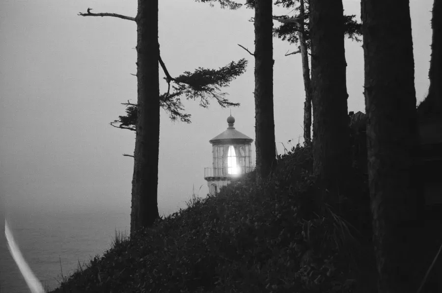 Black and white film photograph of Heceta Head Lighthouse glowing behind tall trees on a hillside, overlooking the ocean.