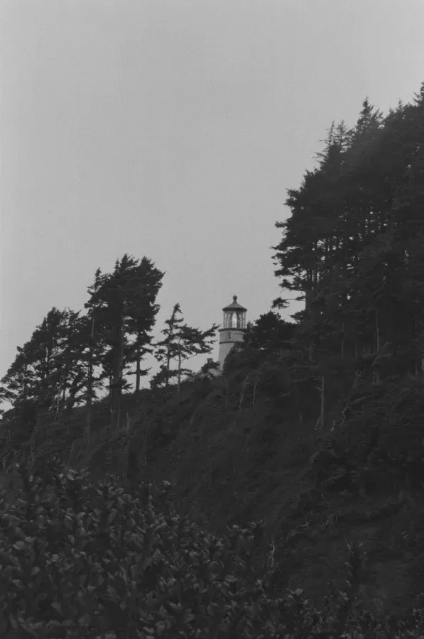 Black and white photo of Heceta Head lighthouse atop a cliff surrounded by trees under an overcast sky.