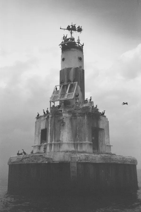 Black and white film photo of Lake St Clair lighthouse on a low base in water, covered in birds, under a cloudy sky.