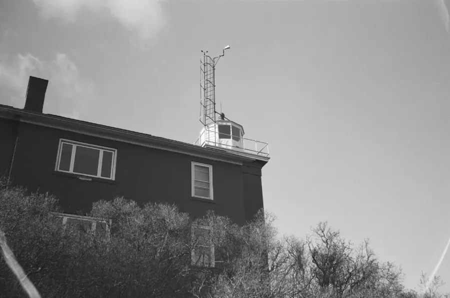 Black and white shot of a building's corner with a tower on top. Trees and a clear sky are in the frame.