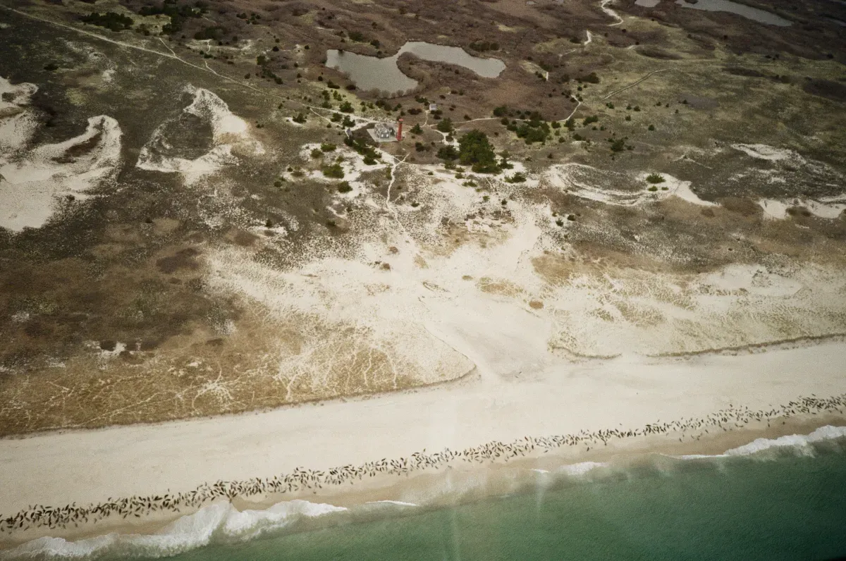 Aerial view of a sandy beach with turquoise water and dunes covered in sparse vegetation