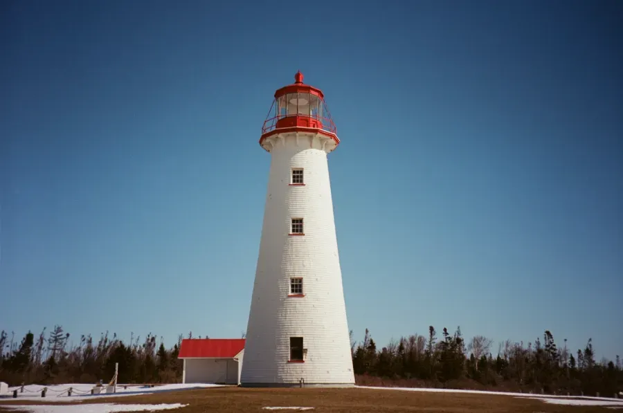 Point Prim lighthouse with a red roof and lantern room stands against a clear blue sky, set near a tree line