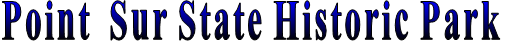 The text 