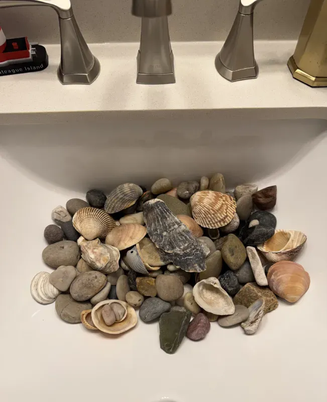 A collection of various sea shells and smooth grey stones piled together in a white bathroom sink basin.