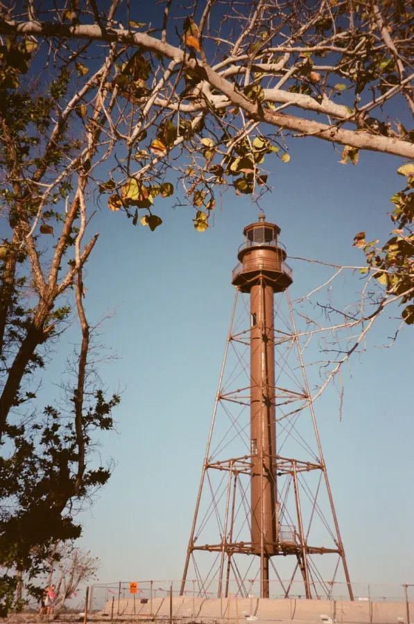 film photograph of Sanibel lighthouse against a blue sky, framed by tree branches.