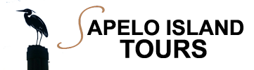 Logo for Sapelo Island Tours, featuring a silhouette of a heron perched on a post next to the text