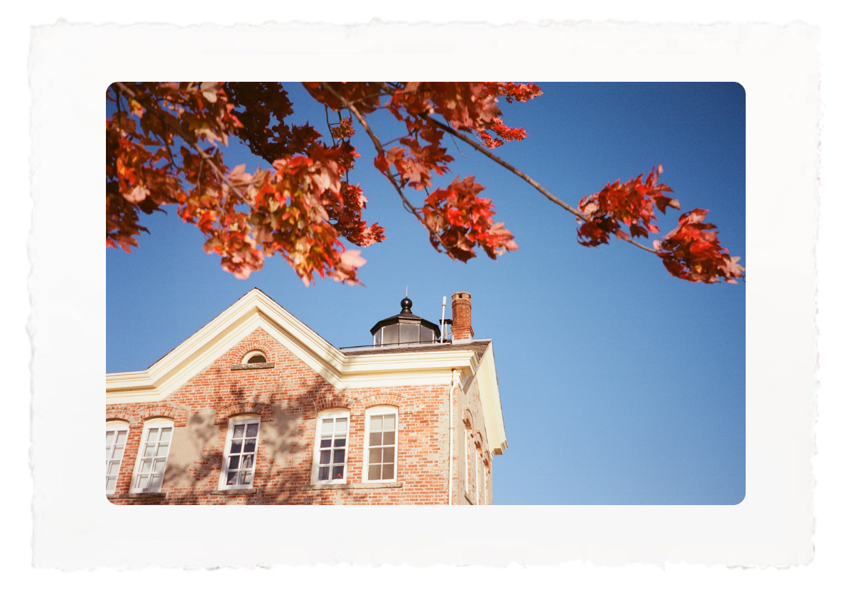 Brick building with autumn leaves framing a clear blue sky