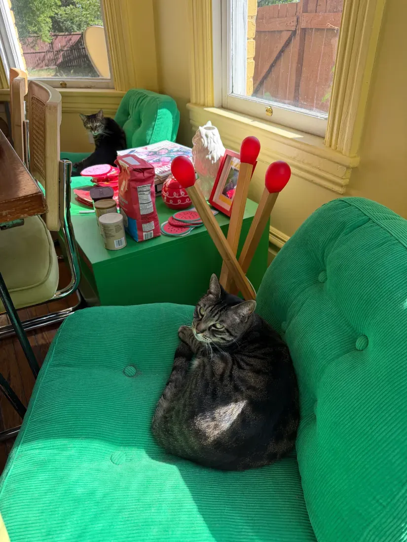 Two cats on a bright green chair near a window, peering at the camera