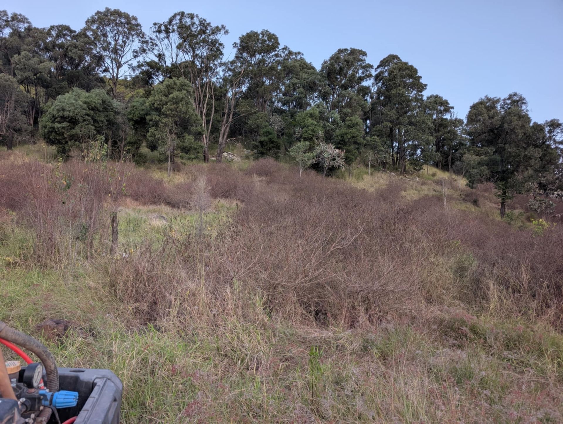 A Person is Cutting Grass With a Lawn Mower — 2K Pasture Management and Consulting In Toowoomba, QLD