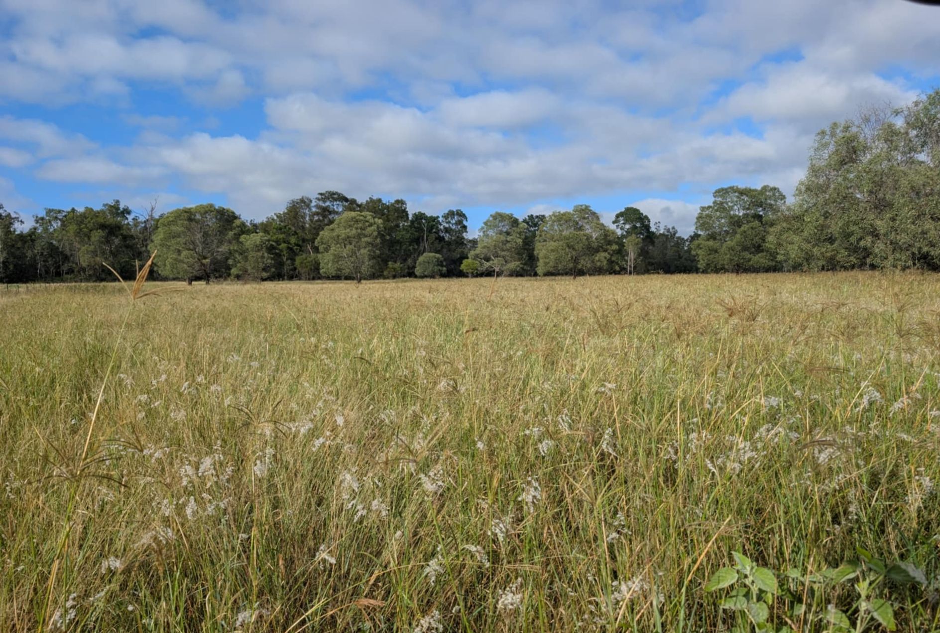 Man is Mowing the Grass With a Lawn Mower — 2K Pasture Management and Consulting In Junction View, QLD