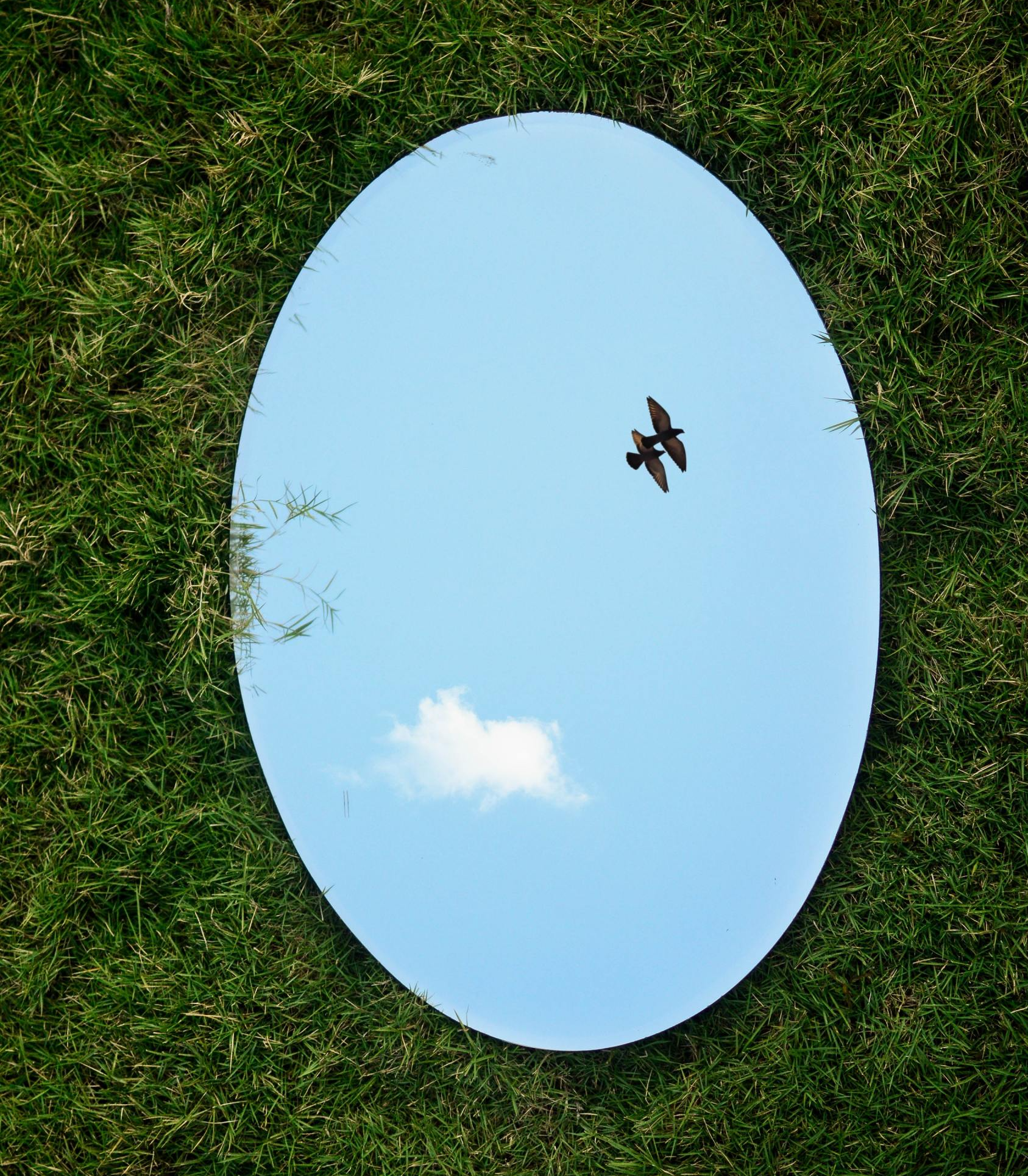 Reflective LCD Display