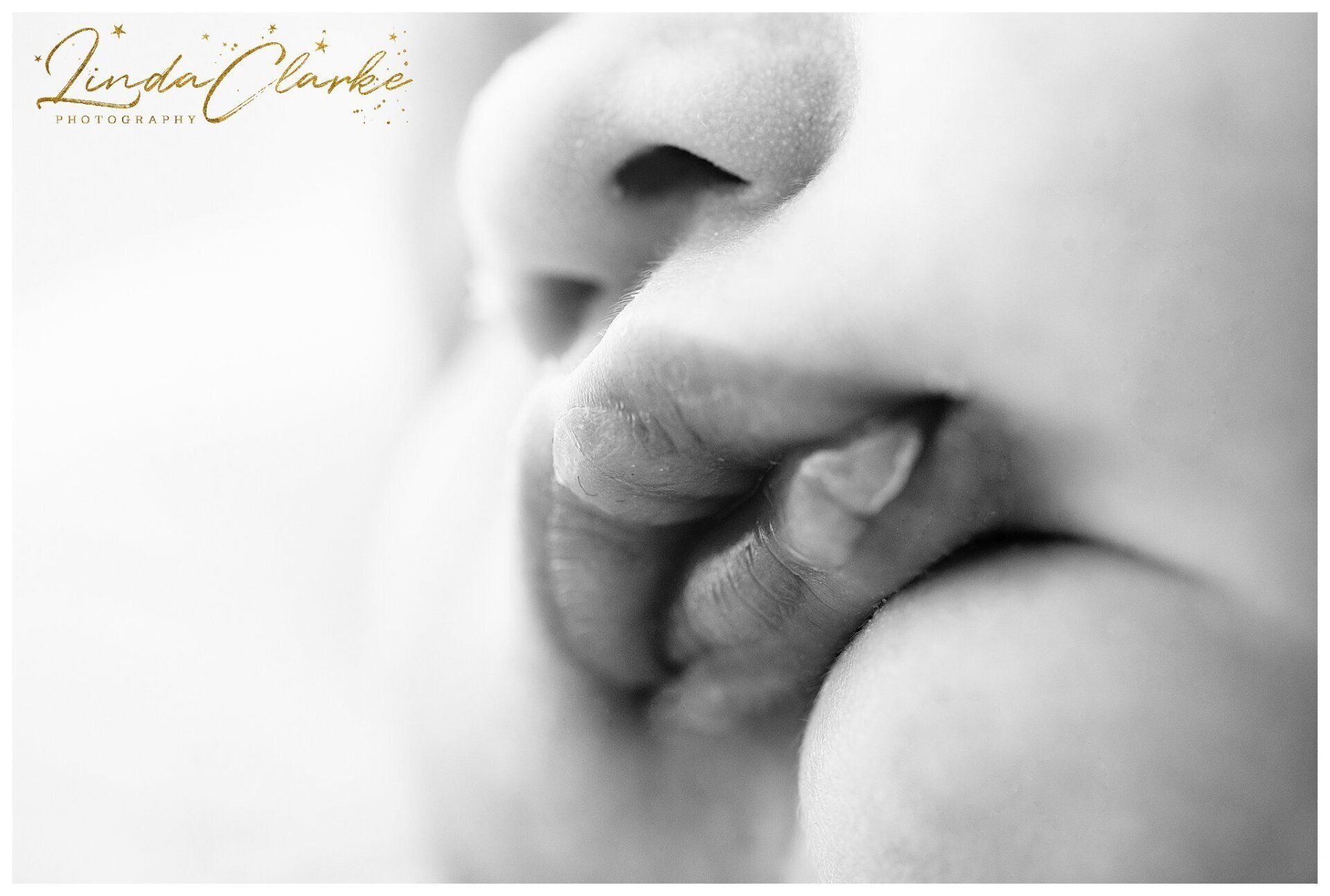 Newborn Photographer Dublin