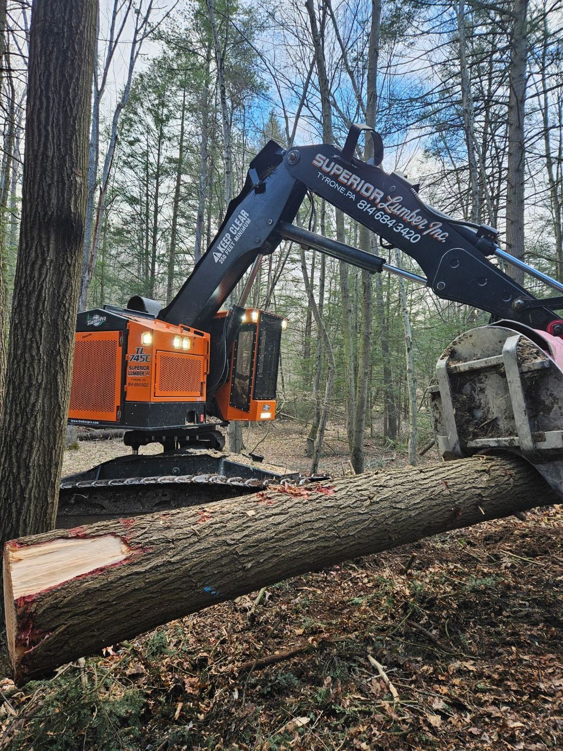 Best Logging Company Centre County, PA | Superior Lumber