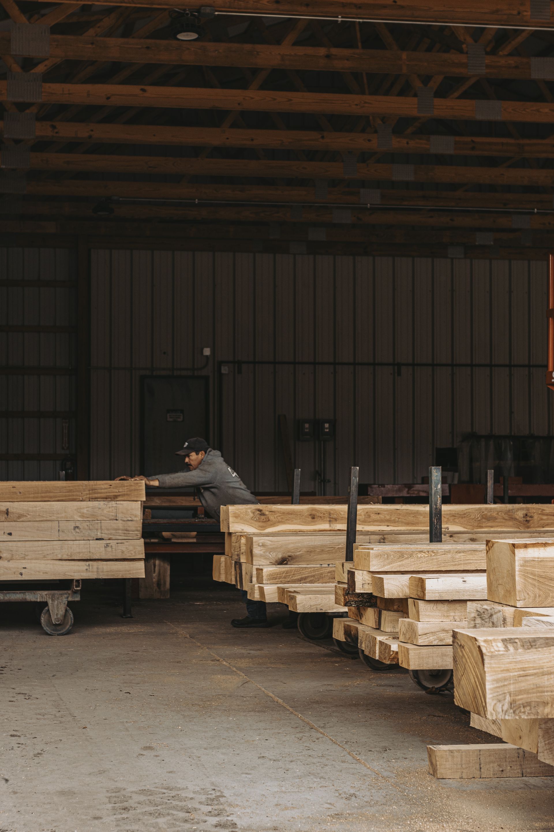 Sustainable logging Centre Hall