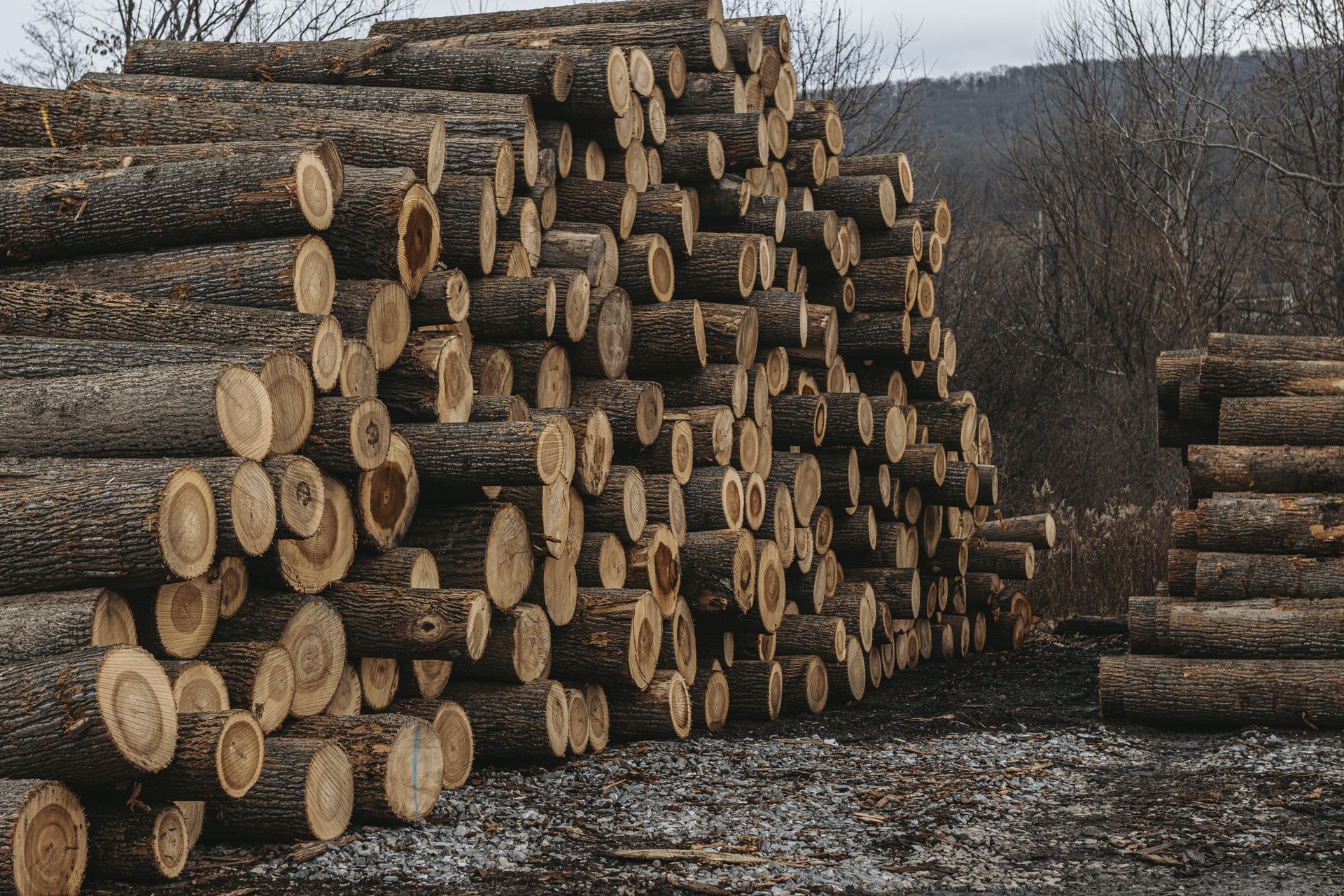 hardwood lumber Boalsburg
