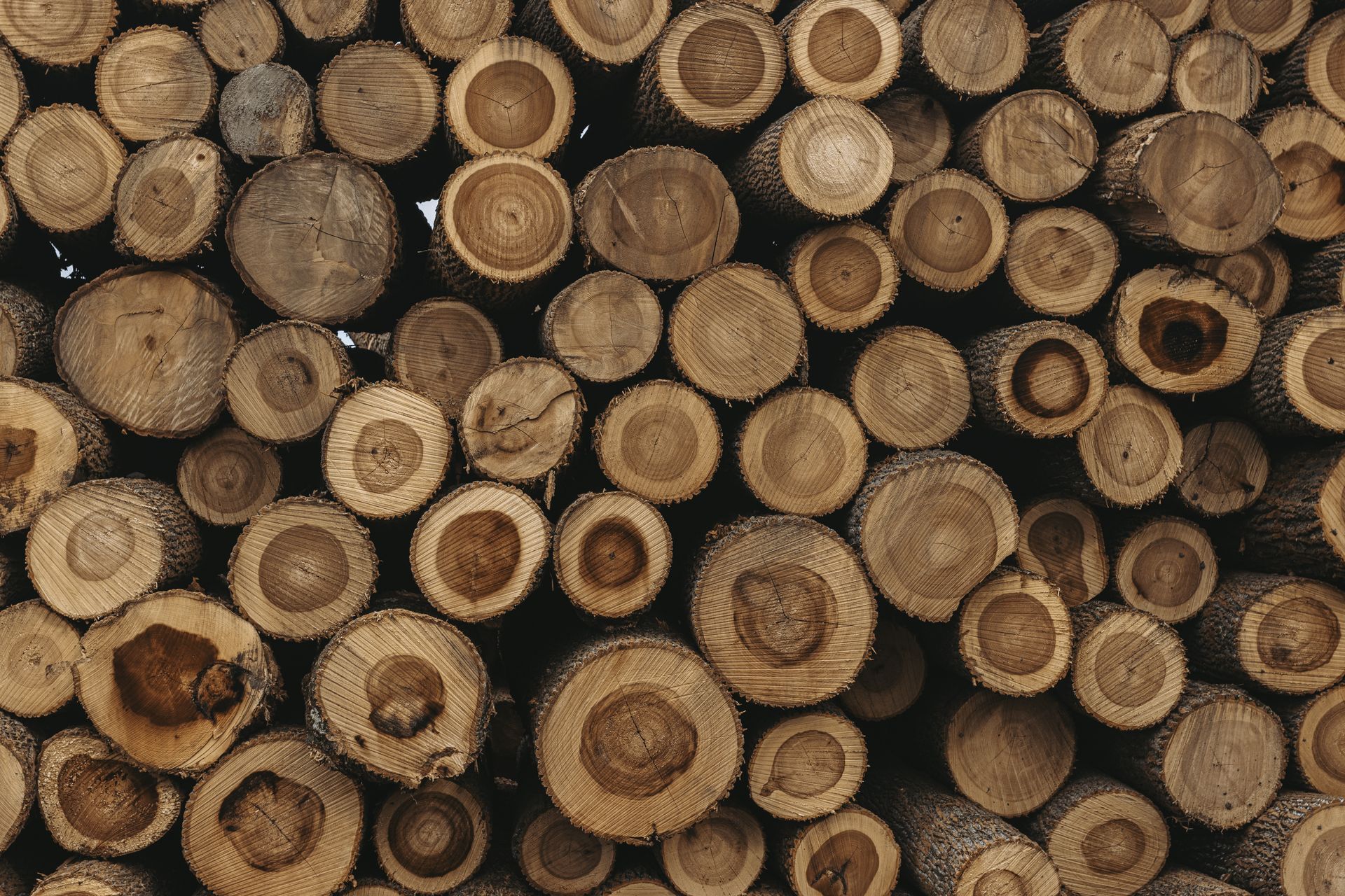 Sustainable logging Centre Hall