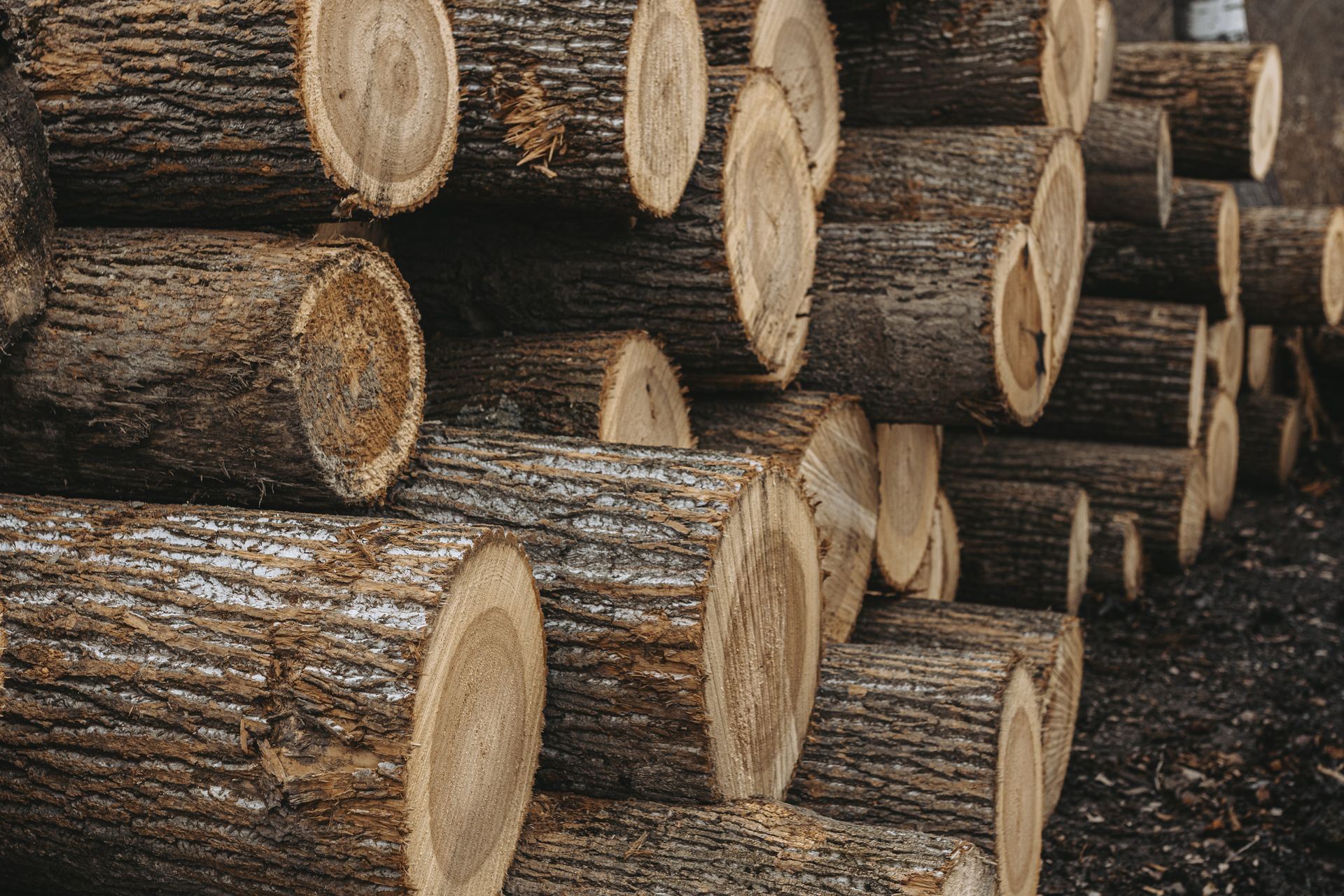 Best lumber in State College