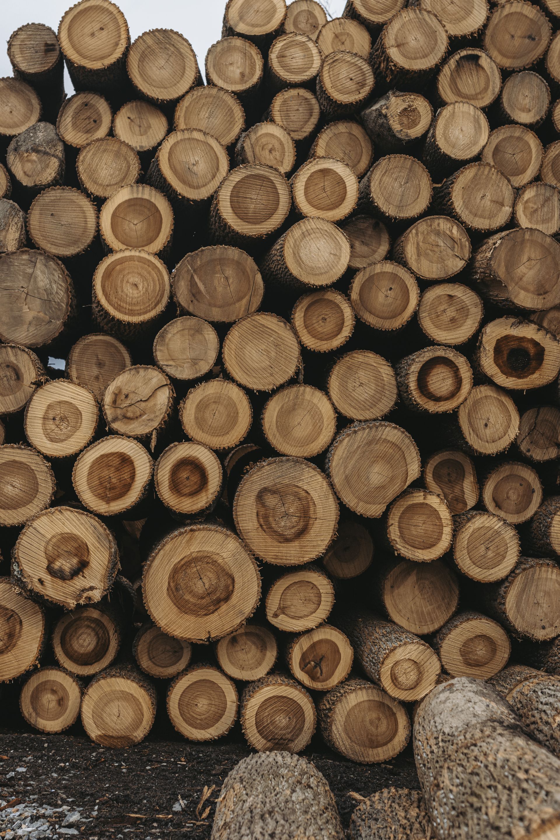 Sustainable logging Centre Hall
