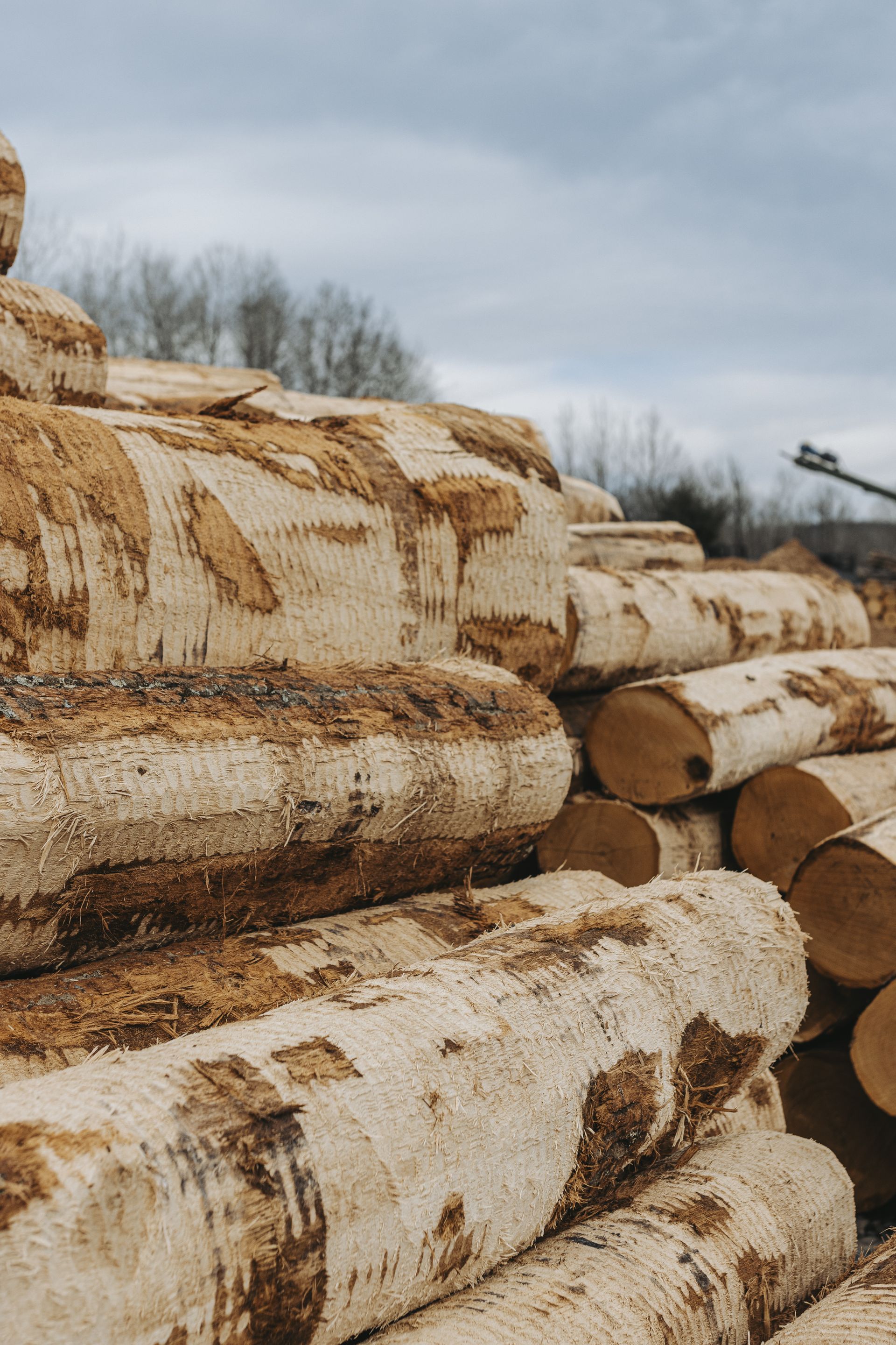 Sustainable Lumber near me