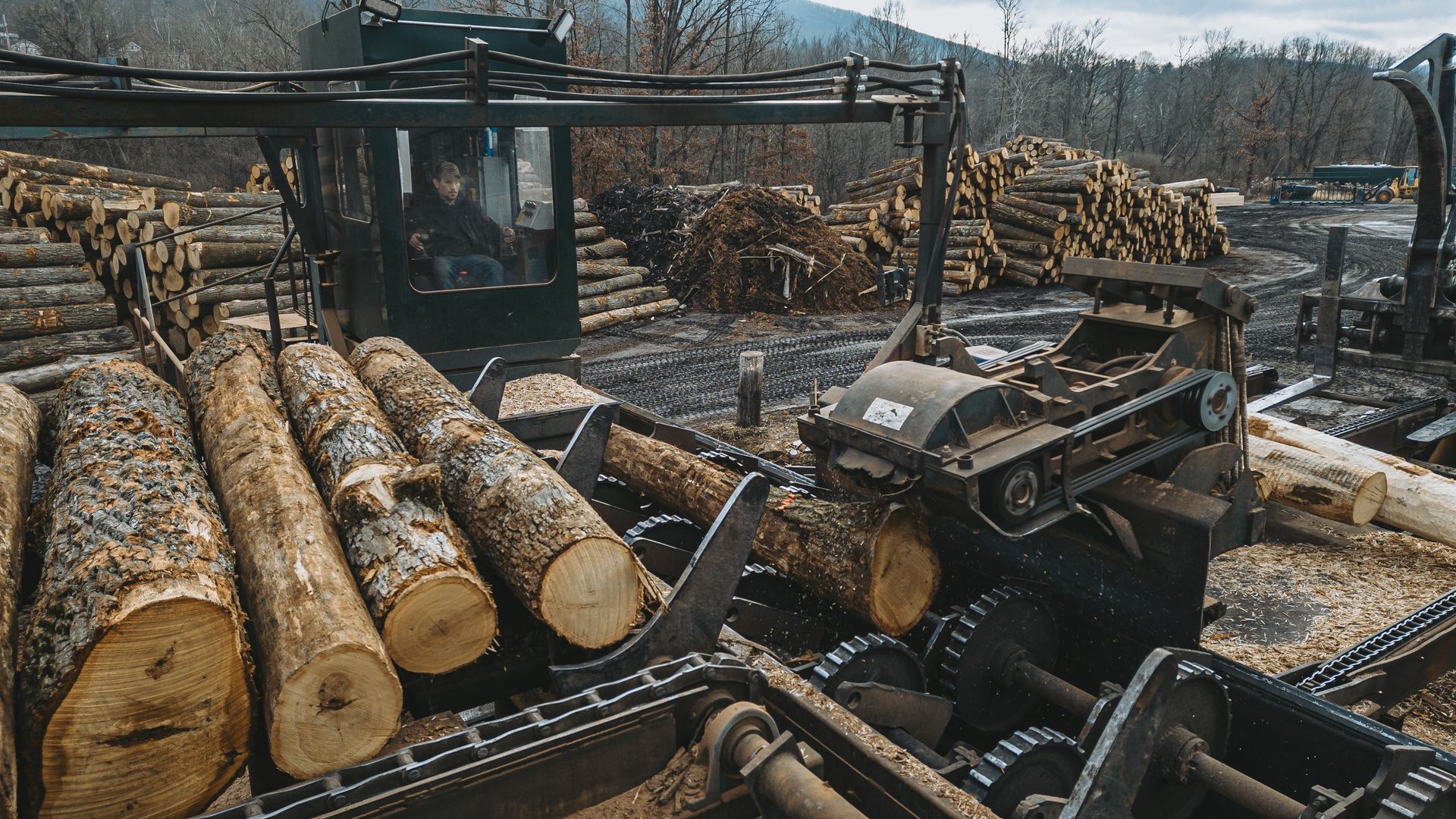 Best lumber in mill hall