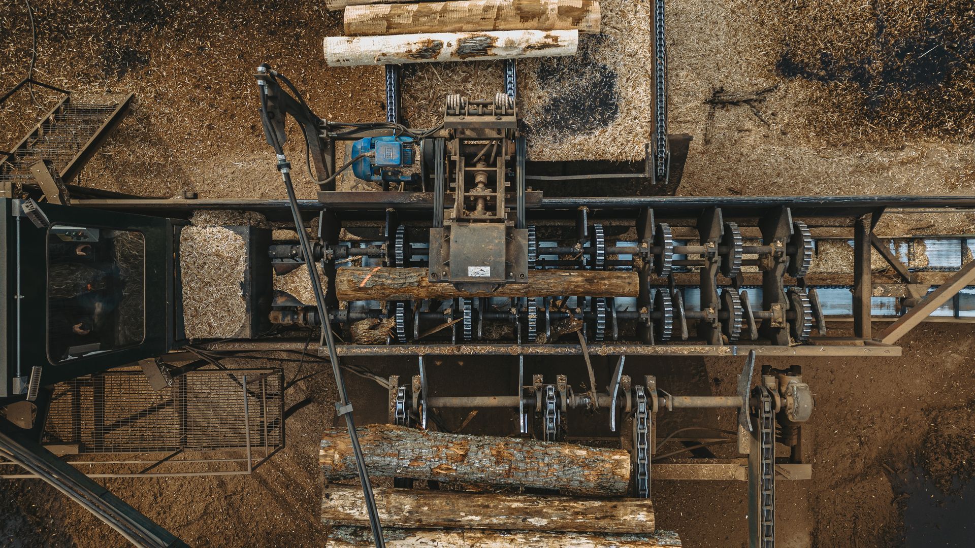 Sustainable logging Centre Hall