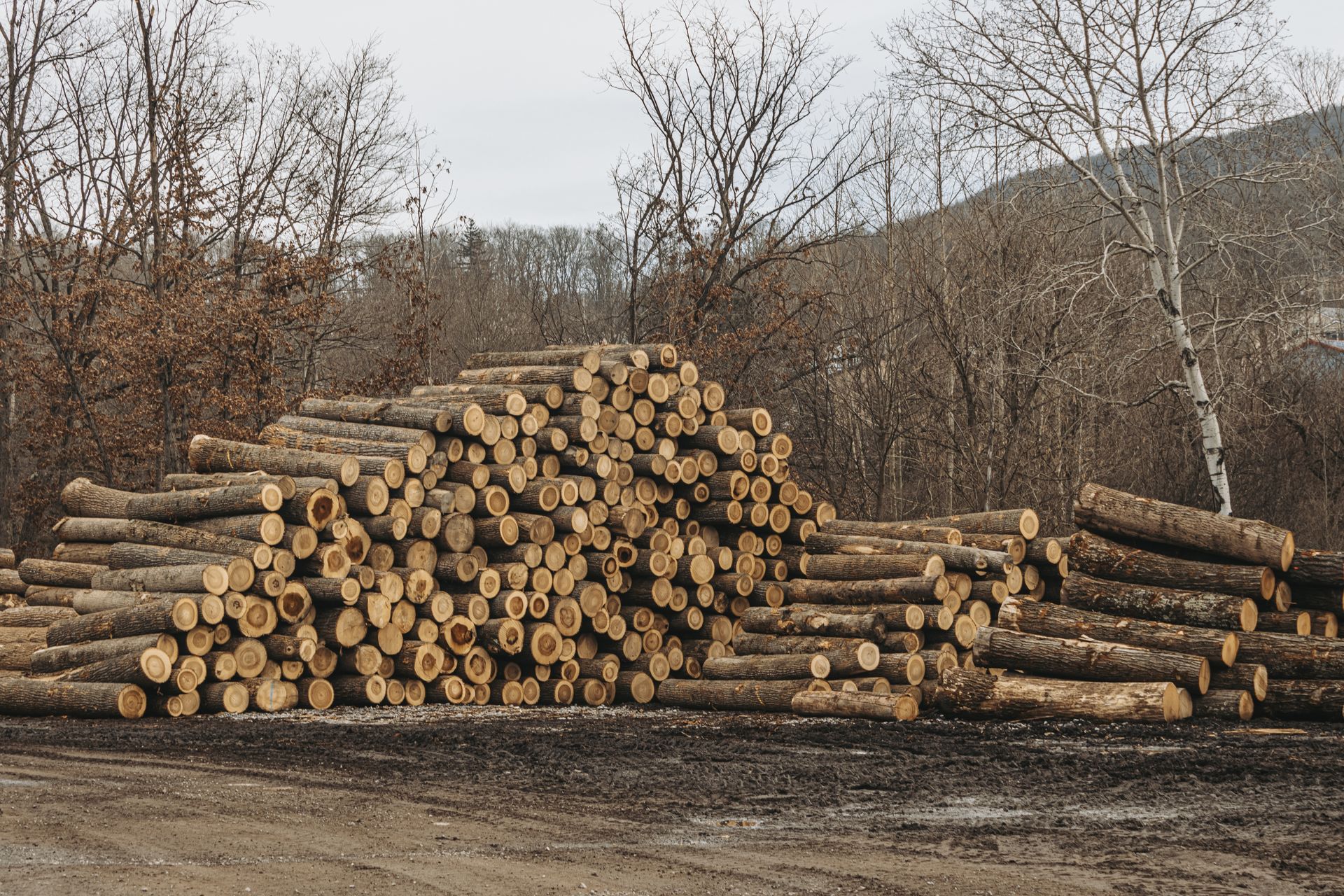 Best lumber in State College