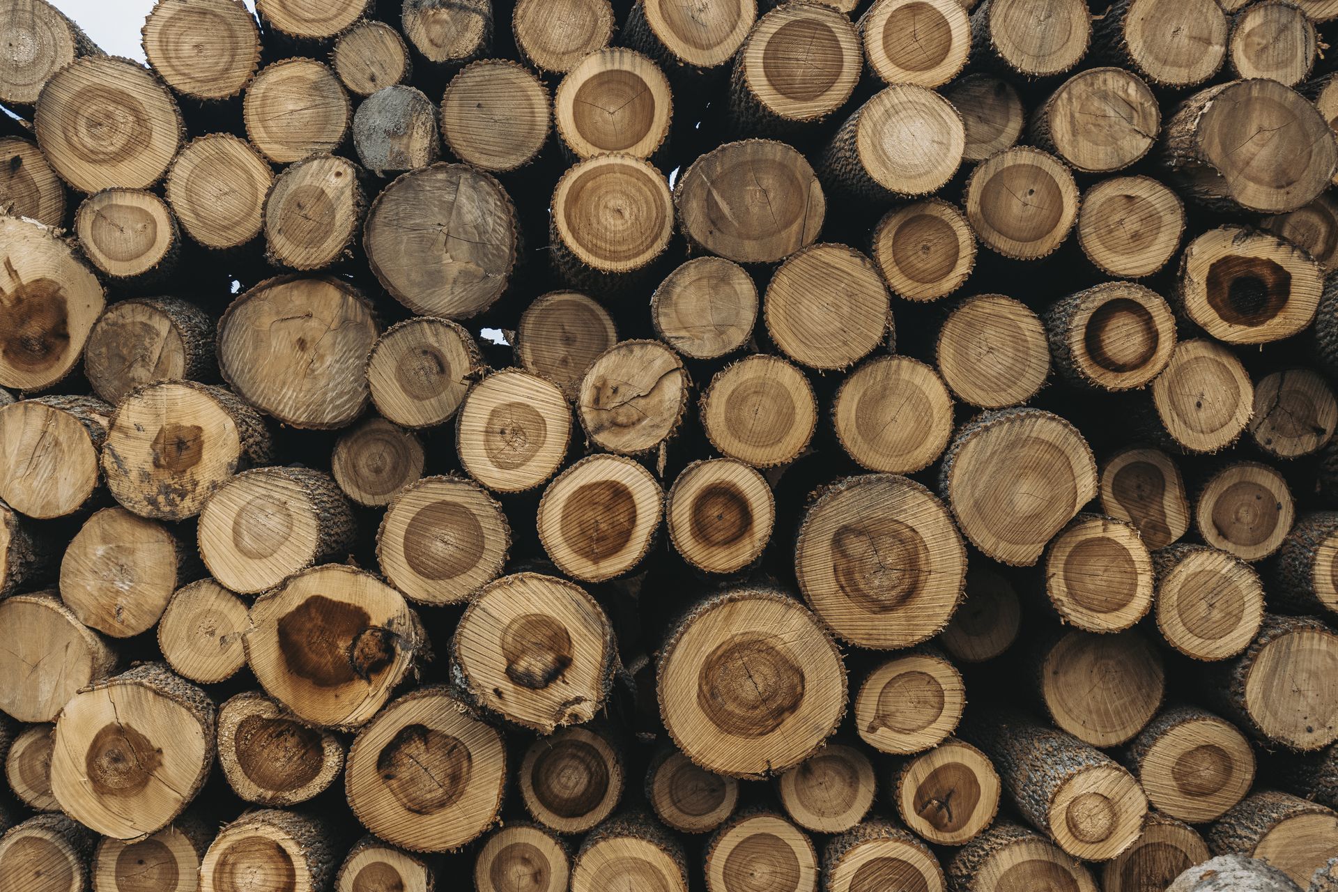 hardwood lumber Boalsburg