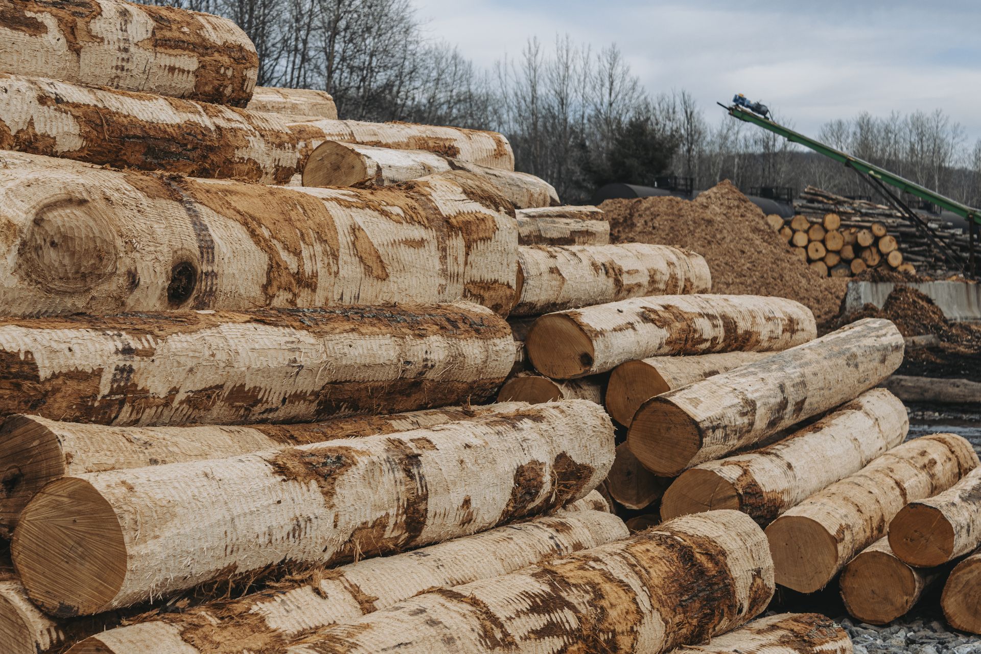 Sustainable Lumber near me